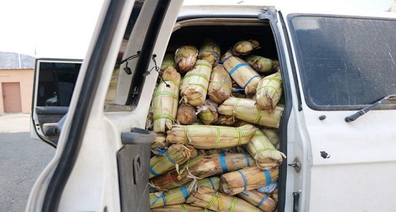 إحباط محاولات تهريب 4000 حزمة قات خلال احتفالات اليوم الوطني (صور)