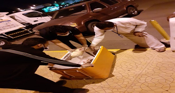 بلدية سلطان تضبط أكثر من 70 كجم من الأسماك الفاسدة