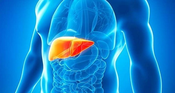 الليمون وخل التفاح..أطعمة تحافظ على صحة الكبد