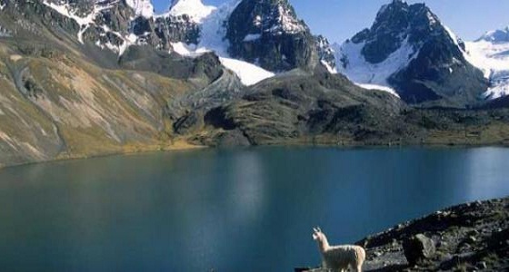 غرق مبتعث سعودي في أمريكا.. وجثمانه يصل خلال يومين