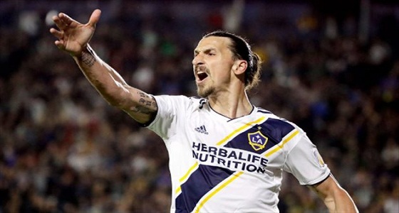 وكيله يحسم أنباء انتقال إبراهيموفيتش إلى الأرجنتين