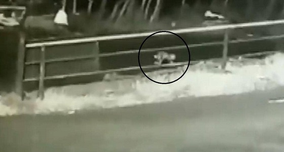 سقطت من سيارة والدها.. رضعية تزحف في شارع مظلم تثير الرعب (فيديو)