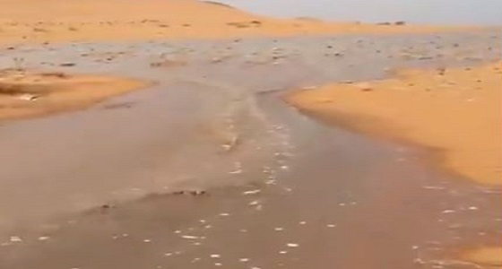 بالفيديو.. هطول أمطار غزيرة تتسبب في جريان السيول بأم الوهط بنجران 