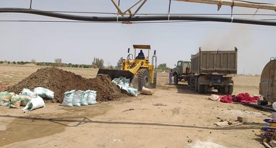 ضبط 4 شاحنات محملة بـ60 طناً من أسمدة الدجاج غير المعالجة