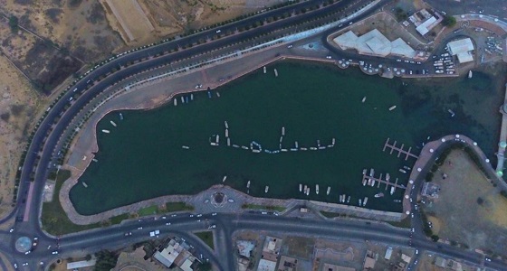 «  البيئة » تحتفي باليوم الوطني بالقوارب البحرية في ضباء