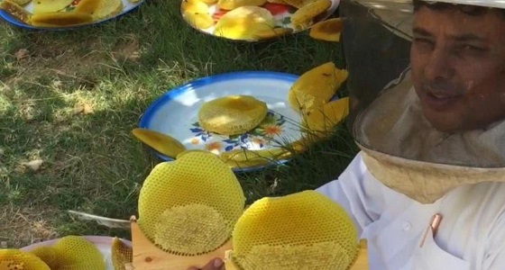 مواطن يتحدث عن قصة احترافه مهنة تربية النحل منذ 50 عاما  