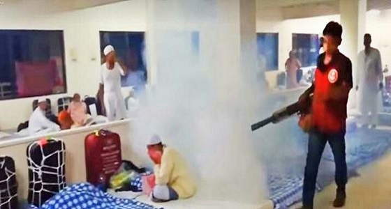 حقيقة مقطع رش الحجاج بالمبيدات الحشرية