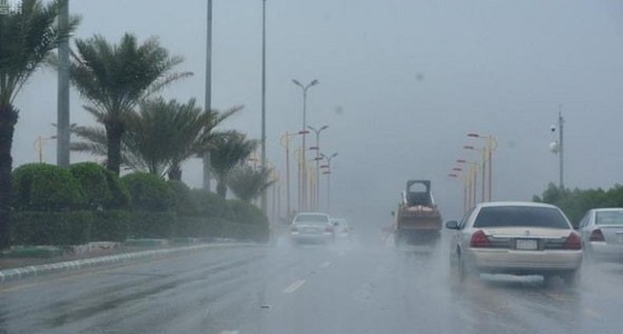 &#8221; الأرصاد &#8221; تنبه من هطول أمطار رعدية على الباحة