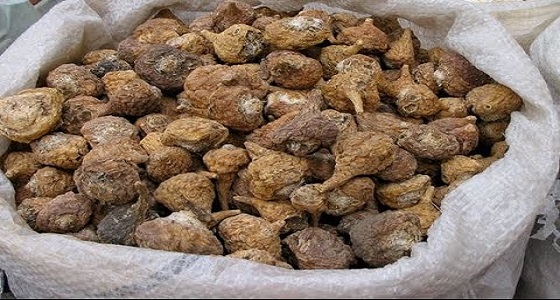 فوائد جذور الماكا الصحية للسيدات والرجال