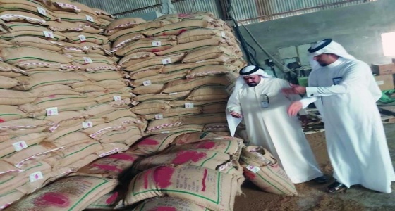 ضبط 40 ألف كيلو أرز به حشرات في القطيف
