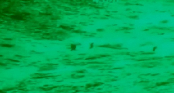 بالفيديو.. مدرعة سعودية تسقط عناصر حوثية أرضًا بصعدة