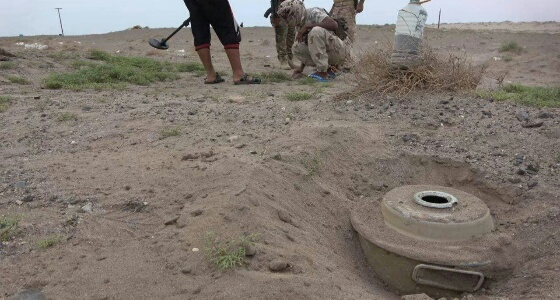 بالفيديو.. سيدتان تكتشفان حقل ألغام زرعه الحوثيون بالحديدة