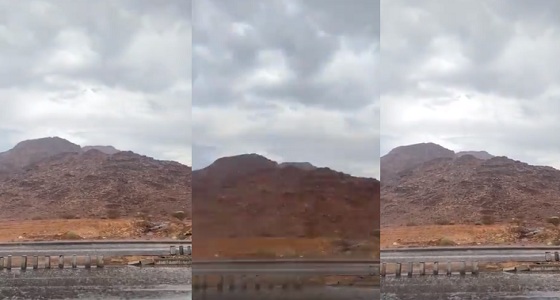 بالفيديو.. تساقط الأمطار على حي حمراء الأسد بالمدينة المنورة