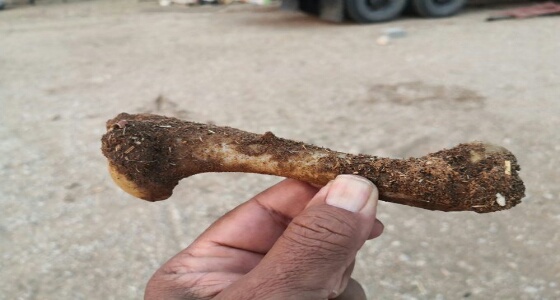 قصة مؤثرة لـ «عظمة متسخة» أطعمت مواطن ووالدته