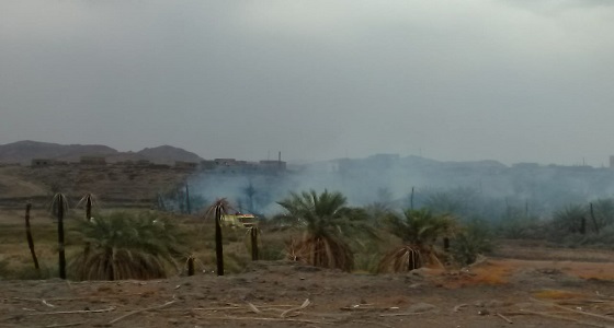 حريق مجموعة نخيل بوادي الروان في خيبر