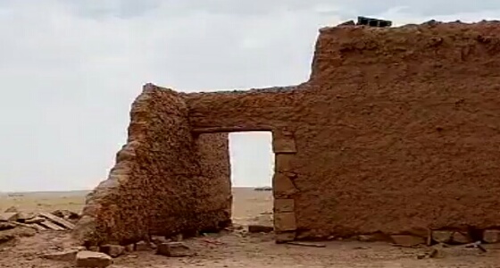 بالفيديو.. «الزعاق»: تبقى 6 أيام على موسم الوسم