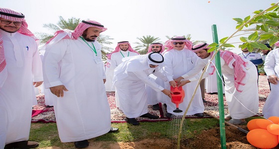 «البيئة» تطلق المرحلة الخامسة لمبادرة «أرض القصيم خضراء» لزراعة 100 ألف شجرة