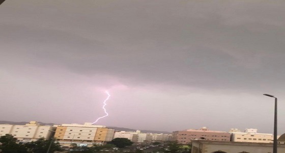 شجرة تسقط في الدائري الثالث بمكة وتعرقل حركة السير