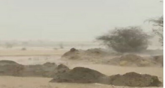 بالفيديو.. هطول أمطار غزيرة على عدد من محافظات مكة