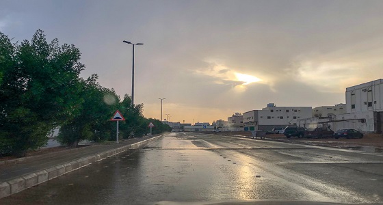 الأرصاد: أمطار رعدية على منطقة المدينة المنورة