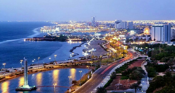 سعره 35 ألف ريال.. سرقة «أسد» من بائعه في جدة