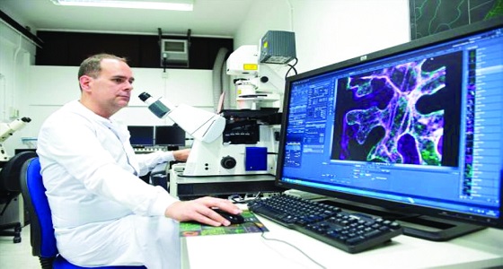 دراسة.. نباتات تنتج شبيه «حليب الأم»