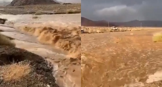 مشهد مُهيب لجريان المياه في سيل البلاطة بـ« العلا » (فيديو)