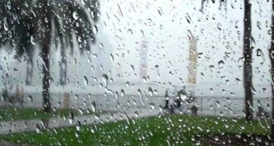 بالفيديو.. أمطار على محافظة الكامل تقطع الكهرباء