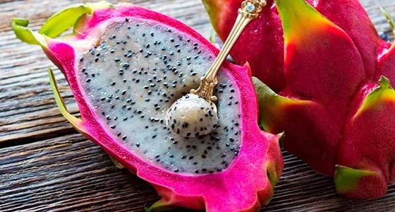 «فاكهة التنين».. تحمي من أمراض القلب والسرطان والسكري