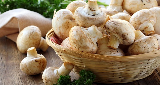 دراسة يابانية : المشروم يخفض نسبة الإصابة بسرطان البروستاتا