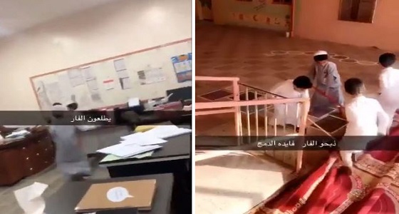 بالفيديو.. فأر في إحدى مدارس الدمج بالمملكة والطلاب يهاجمونه دون خوف 