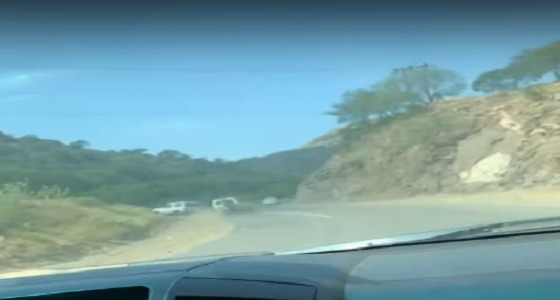 القبض على سائق تسبب في انقلاب سيارة شاب في الداير بجازان