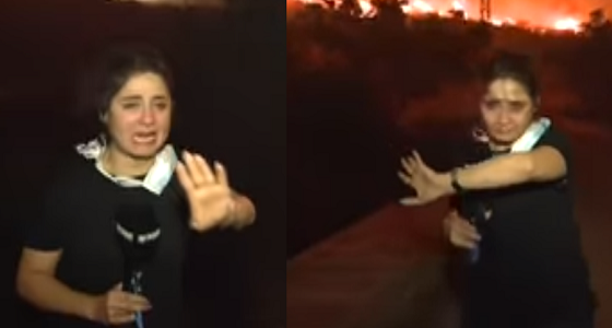 مراسلة لبنانية تنهار على الهواء بسبب النيران التي تجتاح بلادها