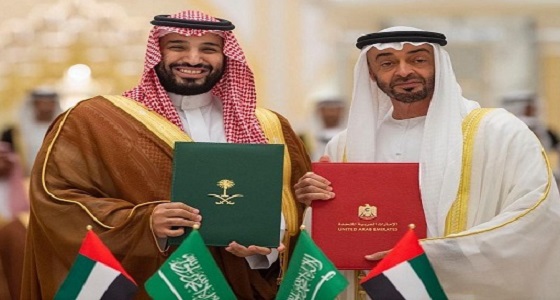 تفاصيل اجتماع مجلس التنسيق السعودي الإماراتي برئاسة ولي العهد ومحمد بن زايد