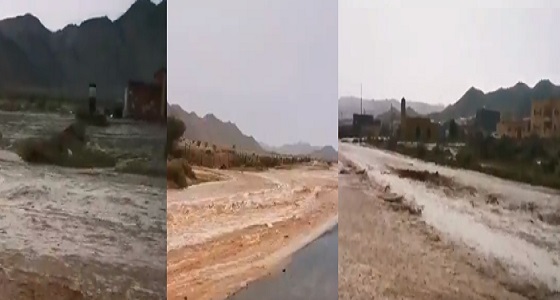 بالفيديو.. سيول البرزة شمال مكة المكرمة