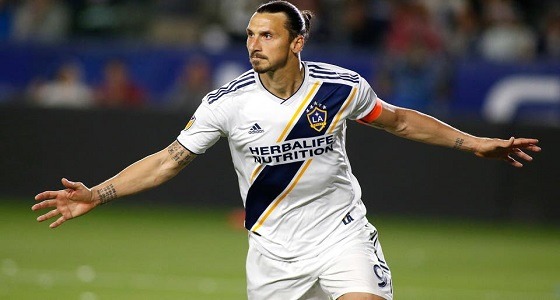 توتنهام يقتنص الفرصة ويسعى لضم إبراهيموفيتش مجانا