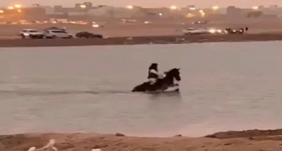 شاهد.. لقطة مؤثرة لحصان يغرق بعدما جازف صاحبه بعبوره مستنقع الحفر