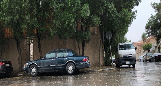 الأرصاد تعلن حالة الطقس خلال الأسبوع المقبل