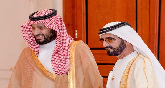 رئيس الوزراء الإماراتي: تاريخ المنطقة يتغير بسبب الأمير محمد بن سلمان