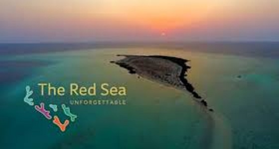 قريبا.. شركة البحر الأحمر توفر وظائف لأهالي المنطقة المحيطة بالمشروع