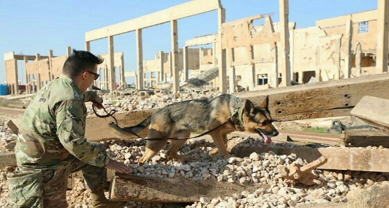 الولايات المتحدة تكشف عن صور جديدة من عملية قتل «البغدادي»