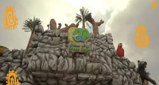 بالفيديو.. معنى كلمة «سفاري» وفائدته في موسم الرياض