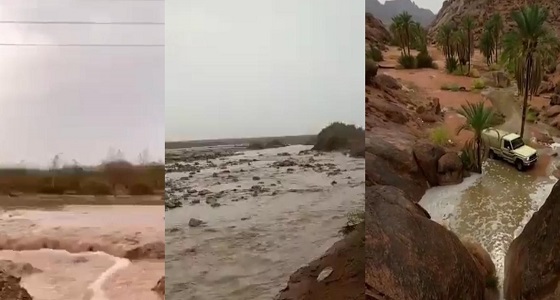 بالفيديو.. عرعر والجوف وحائل تشهد أمطارا غزيرة