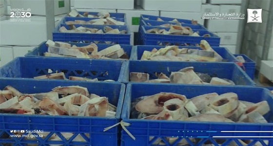 ضبط ثلاجة إحدى الشركات لتخزين الأسماك منتهية الصلاحية بالقطيف