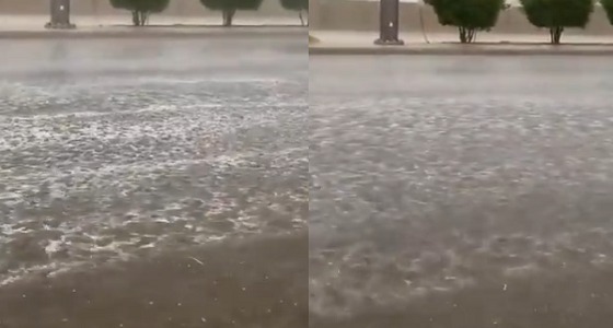 أمطار وبرد على المذنب.. والأرصاد تحذر من الطقس على 9 مناطق (فيديو)