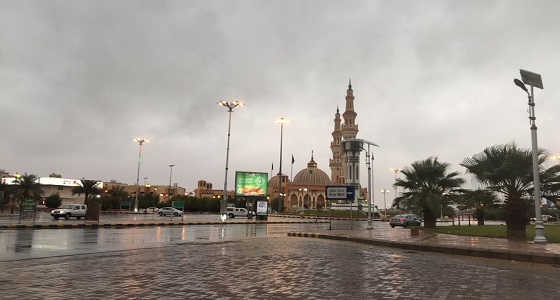 بالصور.. أمطار غزيرة تؤجل رحلات الطيران من وإلى مطار عرعر