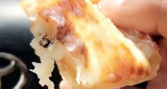 شاهد.. ذبابة مطبوخة في وجبة من مطعم شهير بالقنفذة