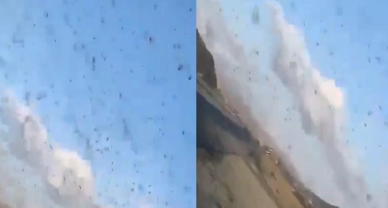 بالفيديو.. أسراب الجراد تغطي سماء الباحة
