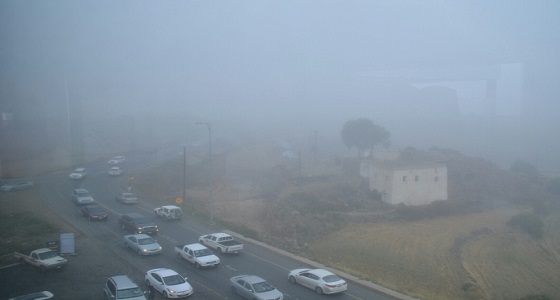 الأرصاد تًحذر من حالة ضبابية في عسير