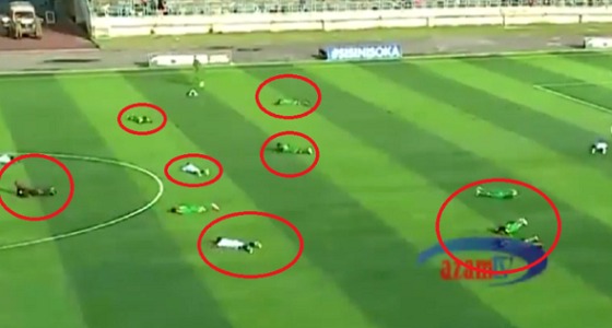 بالفيديو.. هجوم سرب من النحل على اللاعبين أثناء مباراة